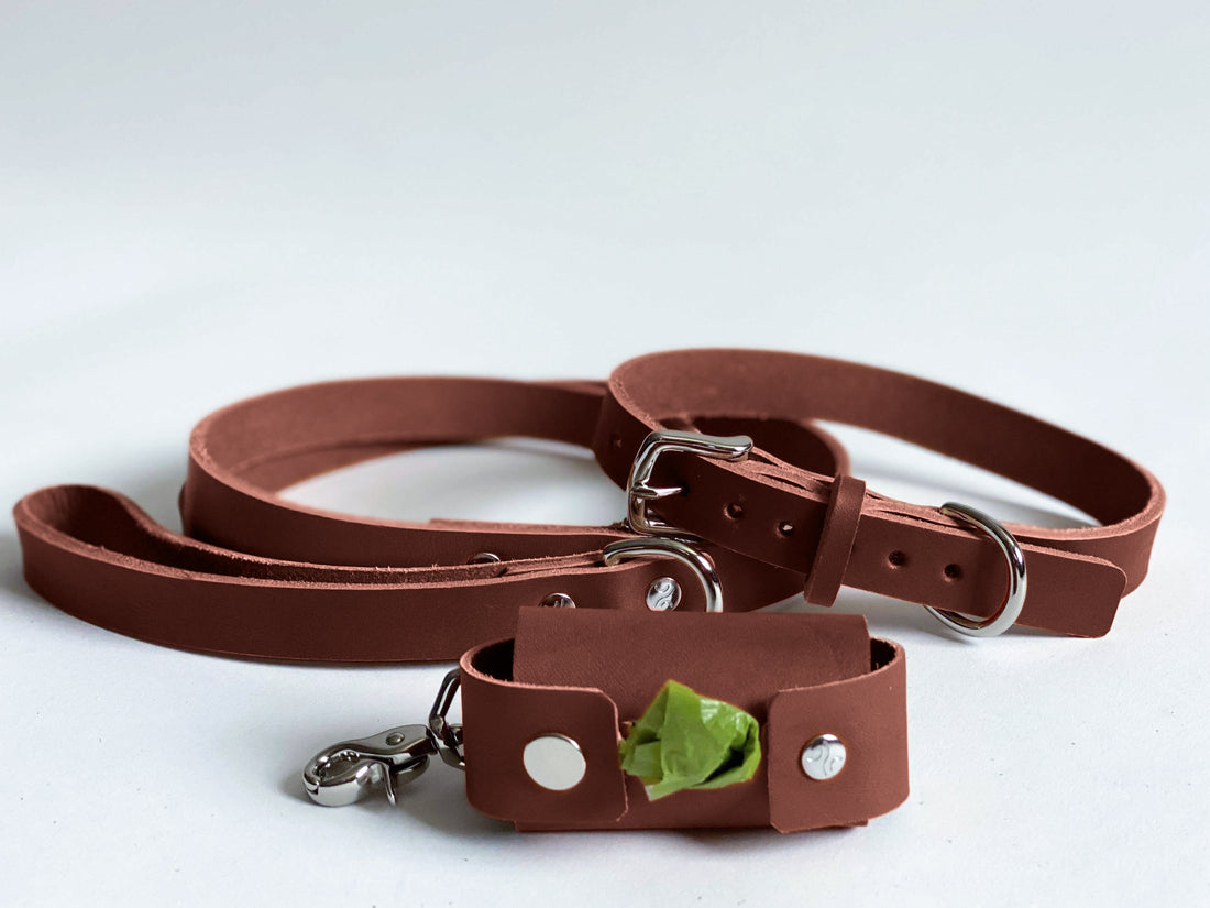 Personalized Leather Dog Waste Bag Holder