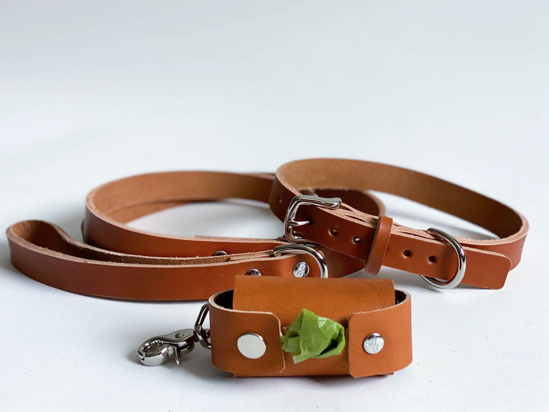 Personalized Leather Dog Waste Bag Holder
